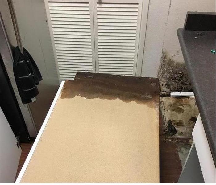 Mold damage in a cabinet from one kitchen