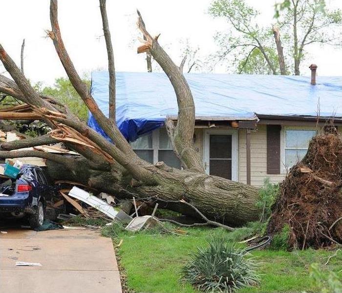 Roof tarped in a home, tree fallen in a home