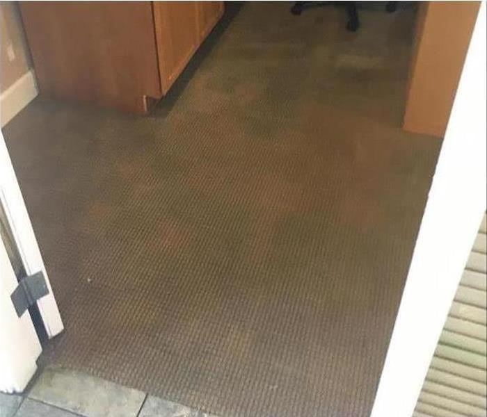 Wet carpet in a home